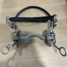 Tandem US with tongue port snaffle used