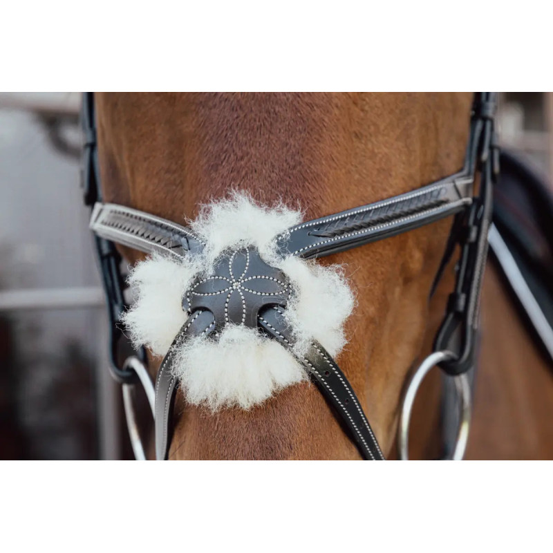 Plaited fig 8 Noseband Bridle - D Collection