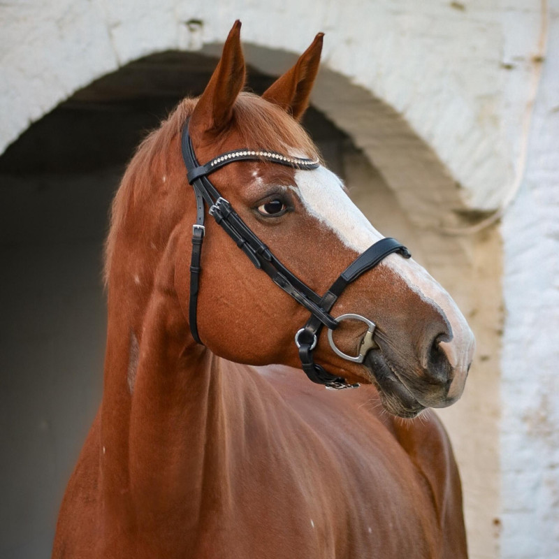 Ultim+ Snaffle - Aim'Horse