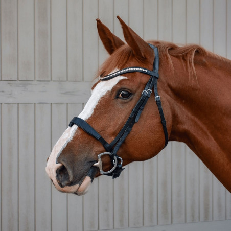 Ultim+ Snaffle - Aim'Horse