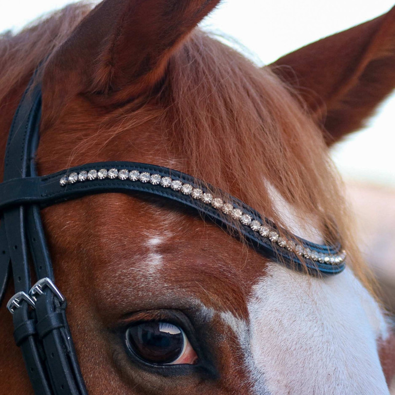 Ultim+ Snaffle - Aim'Horse