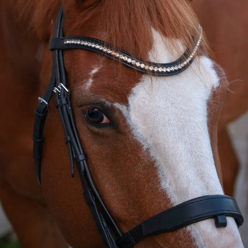 Ultim+ Snaffle - Aim'Horse