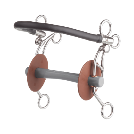 Tandem US with comfort bar