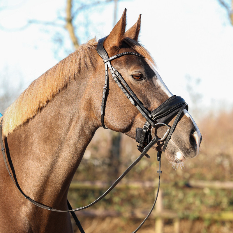 Noseband pad Air Mesh - QHP