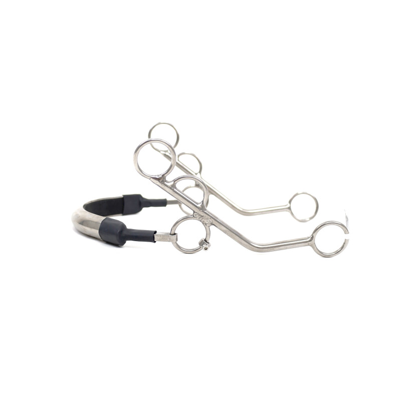Hackamore TP