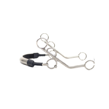 Hackamore TP