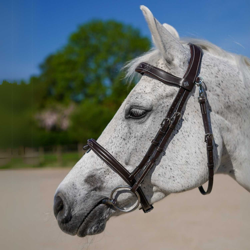 Fancy" Bridle - Working by Dy'on