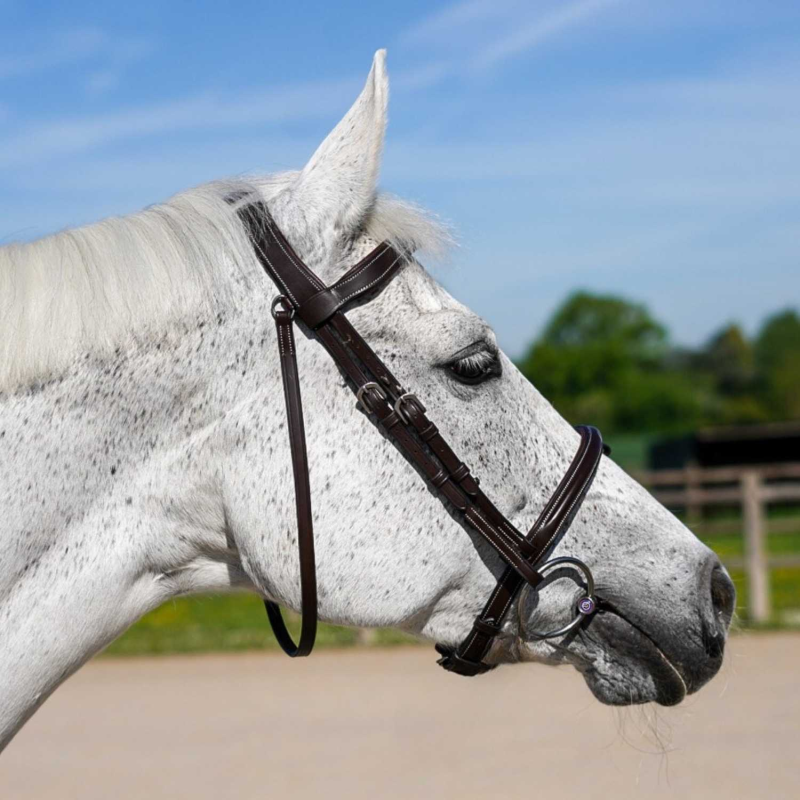 Fancy" Bridle - Working by Dy'on