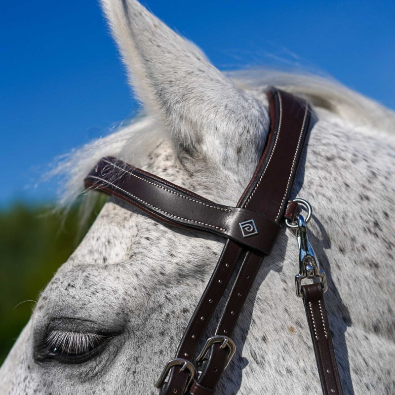 Fancy" Bridle - Working by Dy'on
