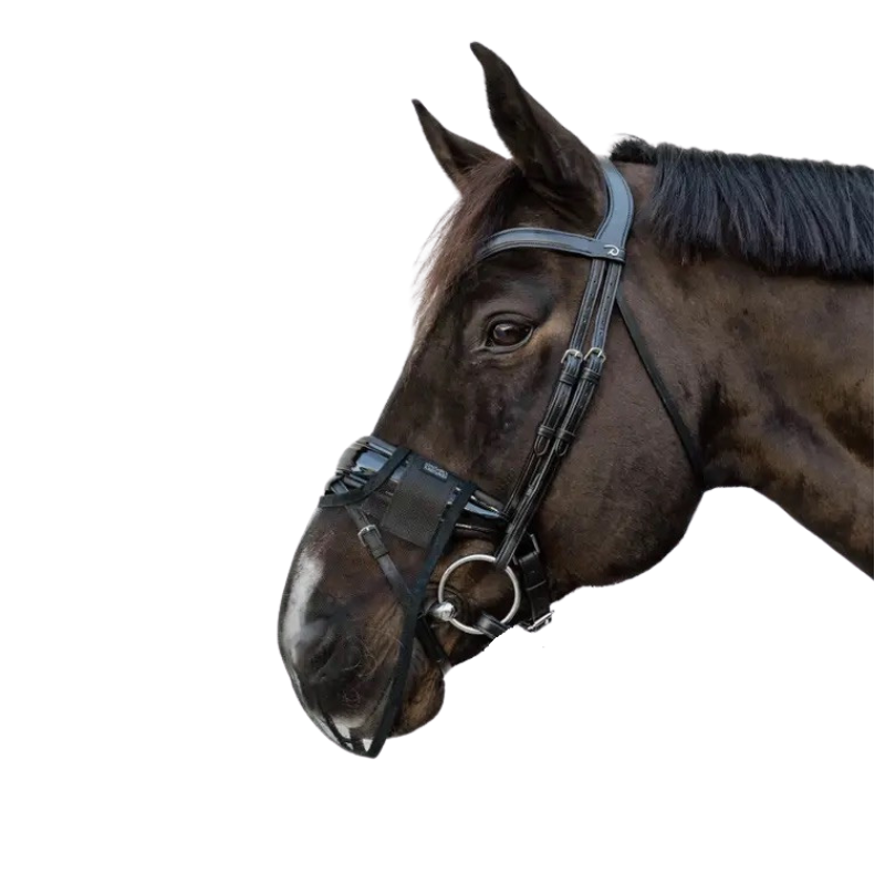 Filet Anti-Mouches Kentucky - Protection Cheval