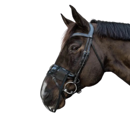 Filet Anti-Mouches Kentucky - Protection Cheval