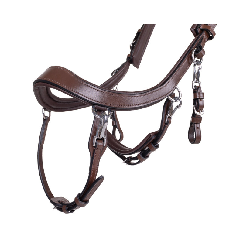 Bridon Faysport - Presteq
