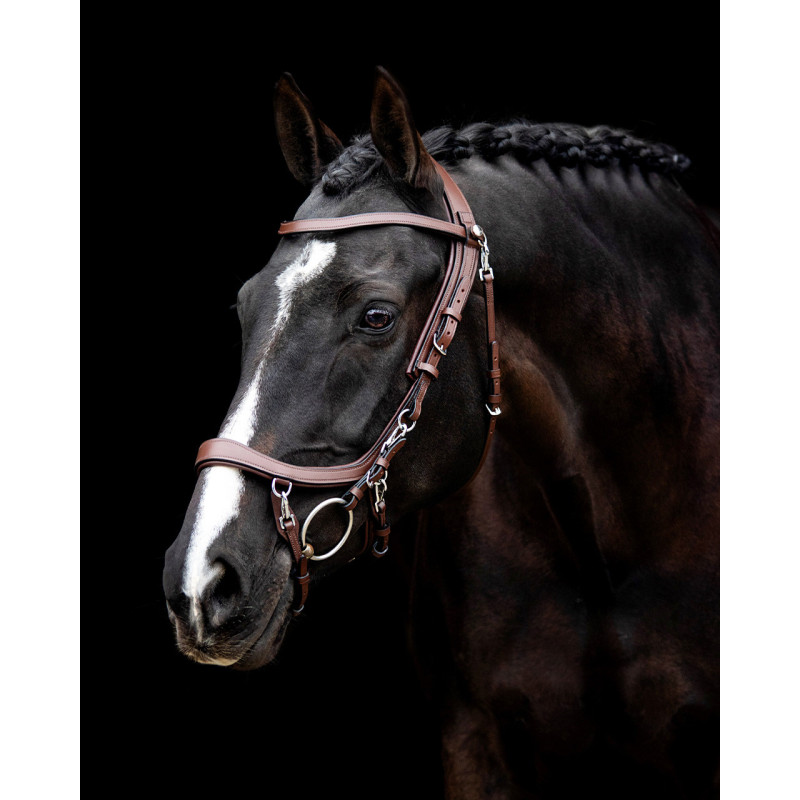 Bridon Faysport - Presteq