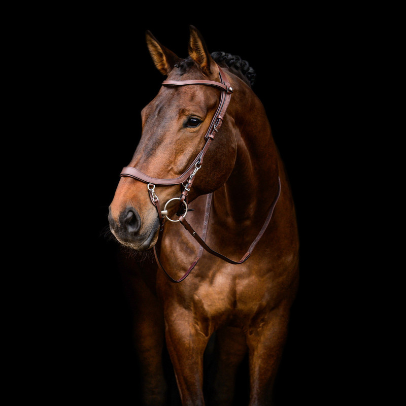 Bridon Faysport - Presteq