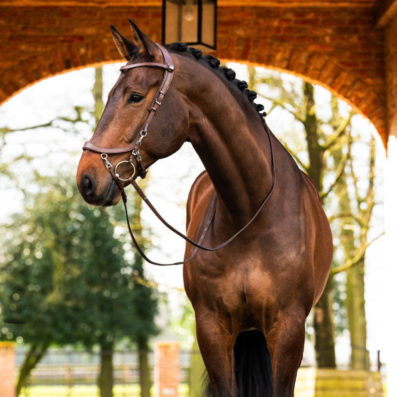 Bridon Faysport - Presteq