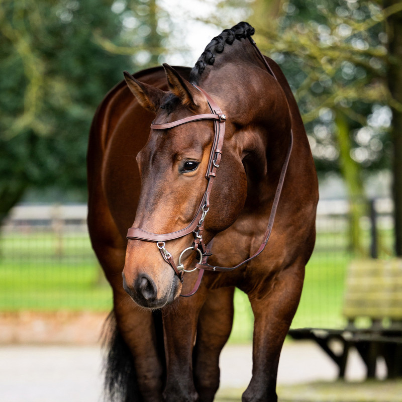 Bridon Faysport - Presteq