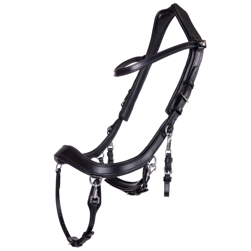 Bridon Faysport - Presteq
