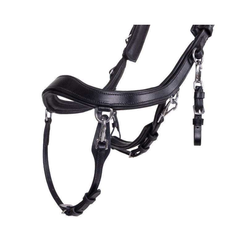 Bridon Faysport - Presteq