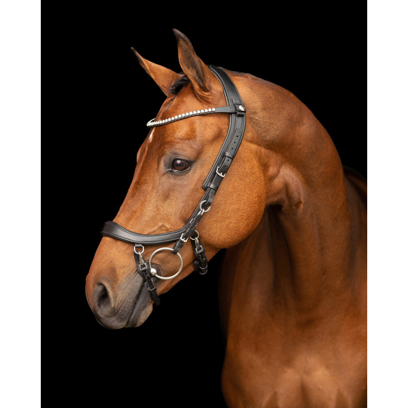 Bridon Faysport - Presteq