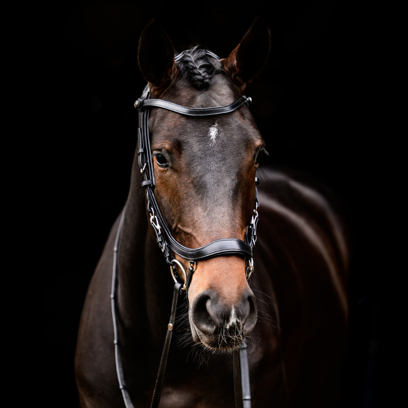 Bridon Faysport - Presteq