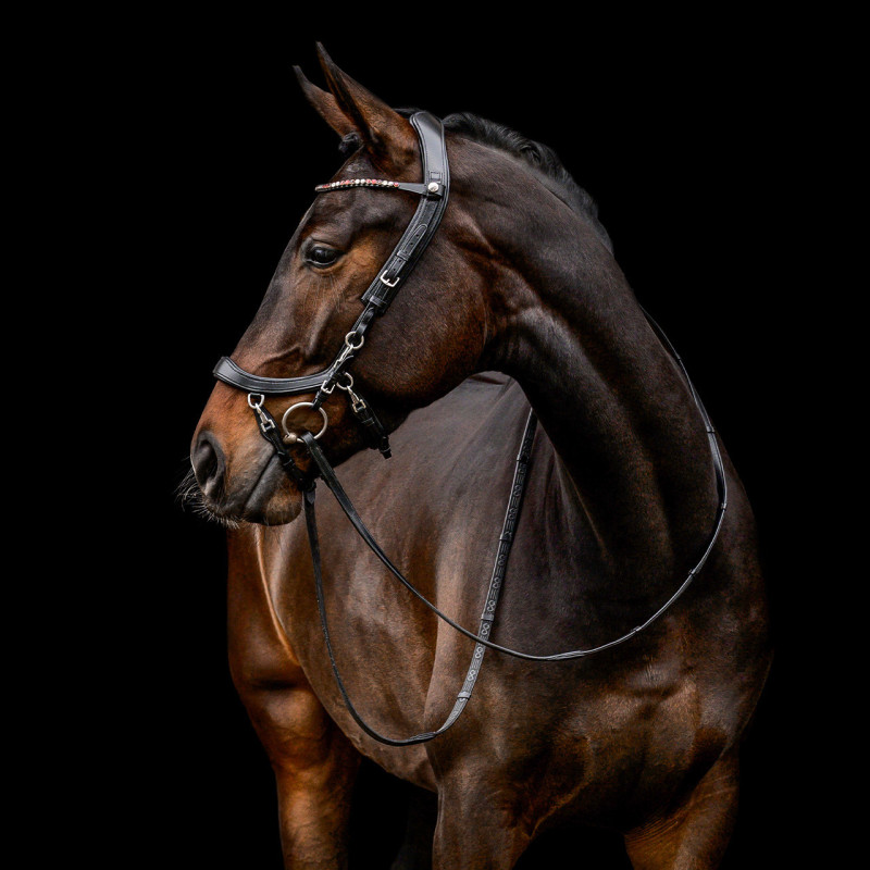 Bridon Faysport - Presteq