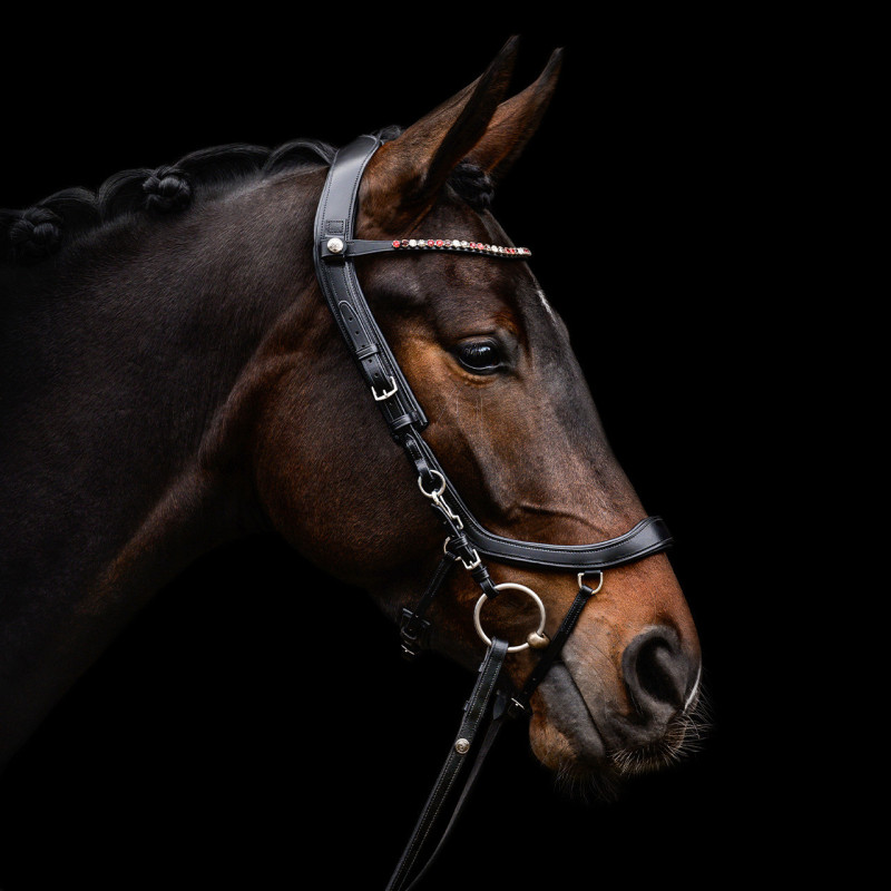 Bridon Faysport - Presteq