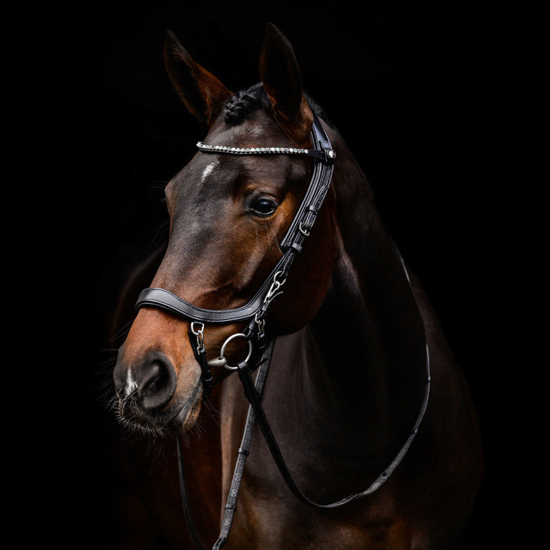 Bridon Faysport - Presteq