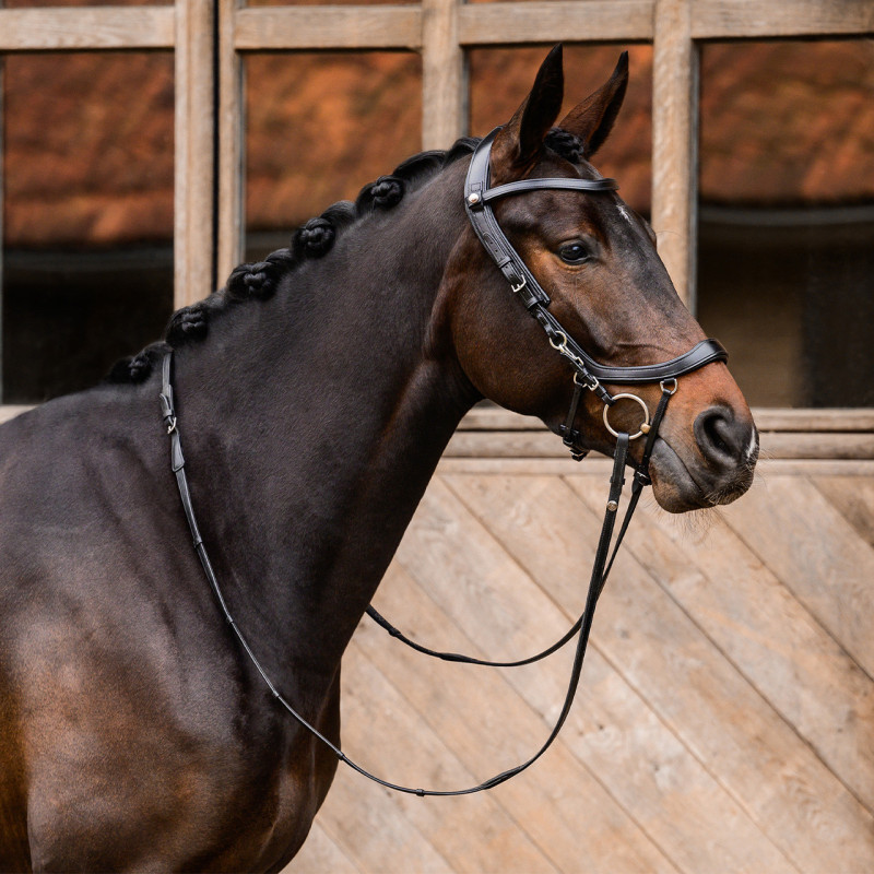 Bridon Faysport - Presteq
