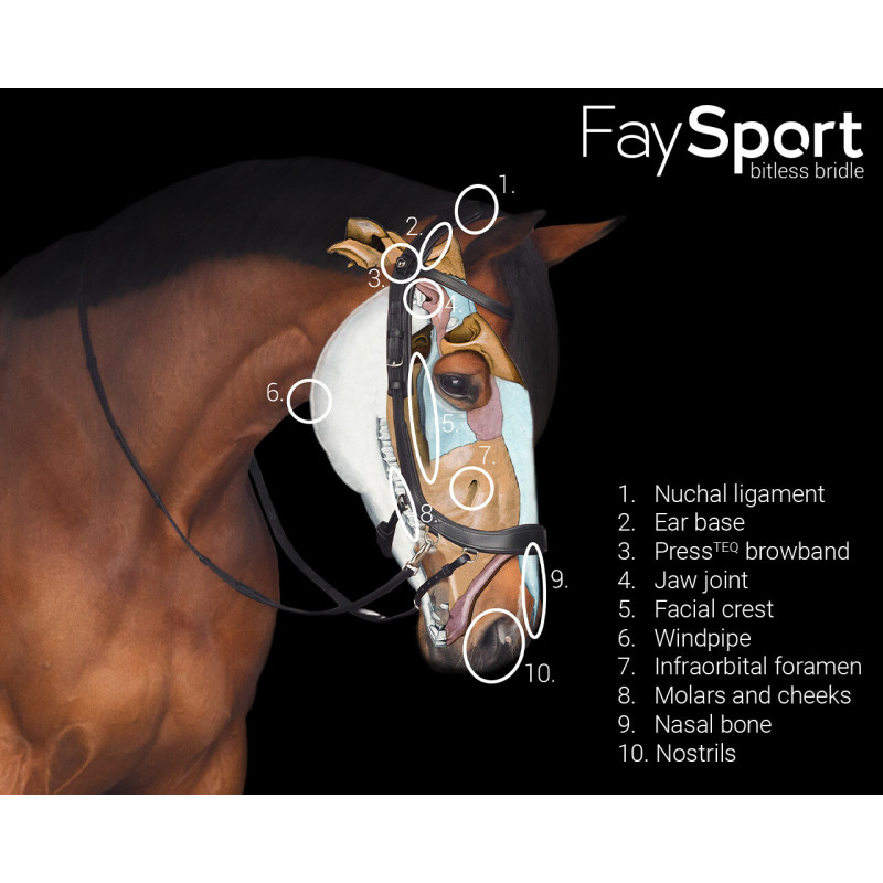 Bridon sans mors Faysport - Presteq Mors and more