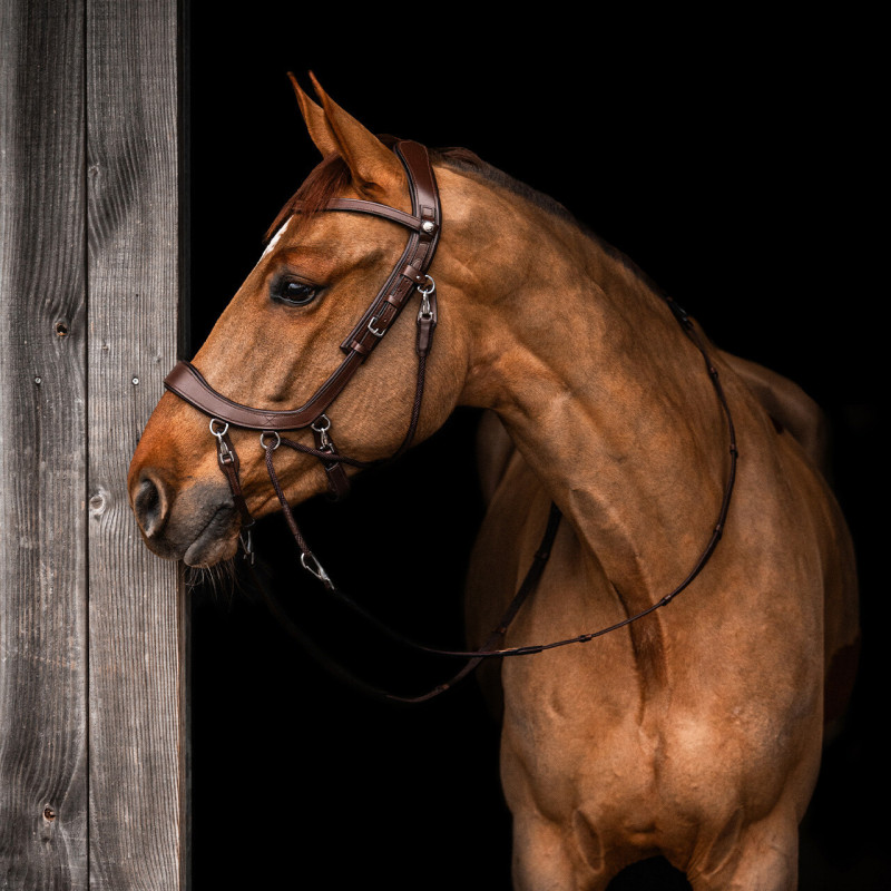 Bitless bridle FaySport - Presteq Mors and more