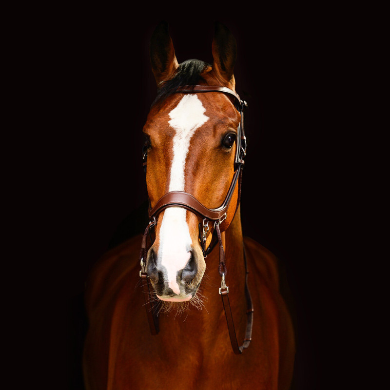 Bitless bridle FaySport - Presteq Mors and more