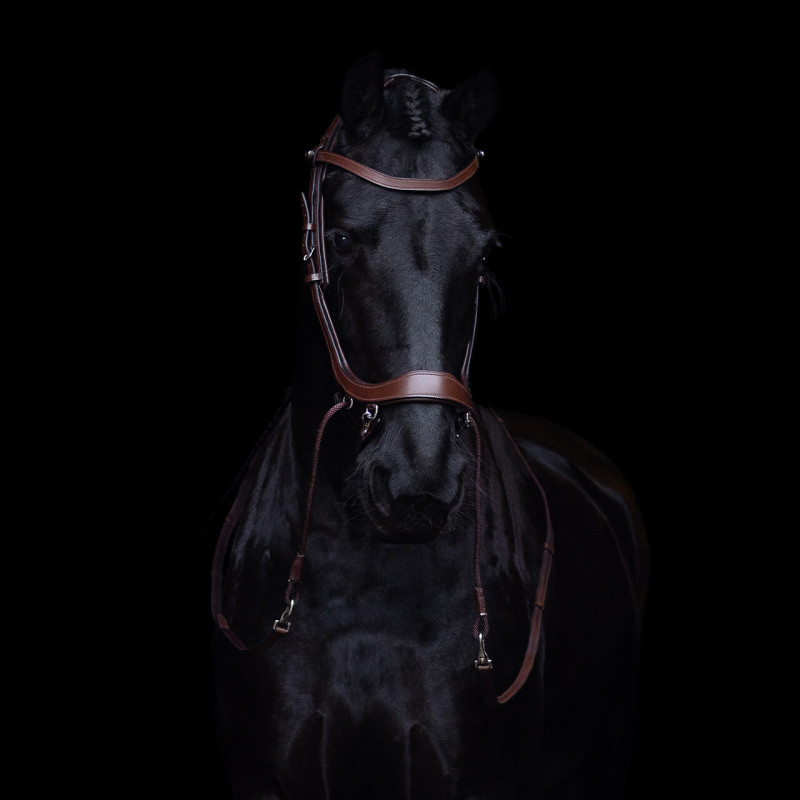 Bitless bridle FaySport - Presteq Mors and more