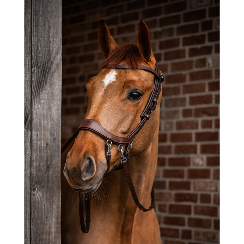 Bridon sans mors Faysport - Presteq Mors and more