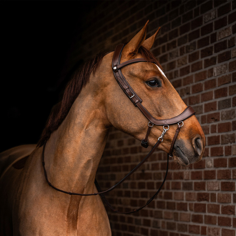 Bitless bridle FaySport - Presteq Mors and more