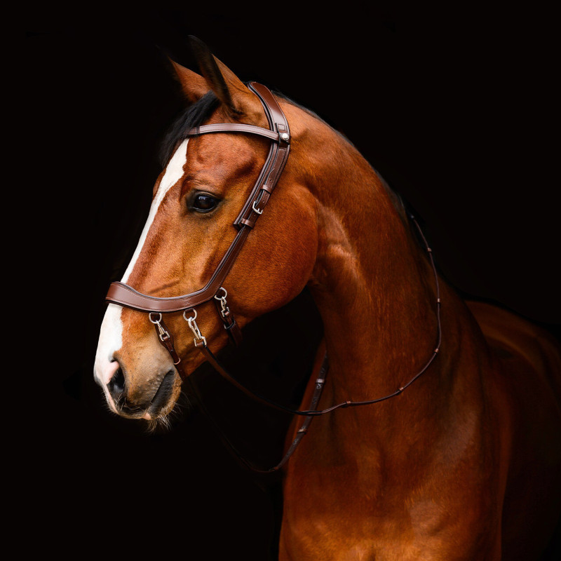 Bitless bridle FaySport - Presteq Mors and more
