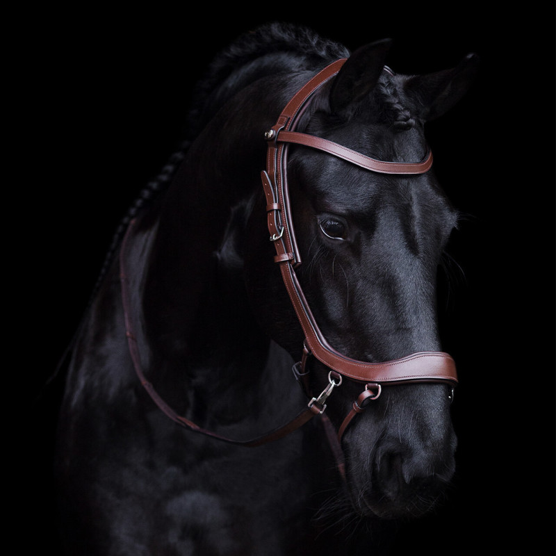 Bridon sans mors Faysport - Presteq Mors and more