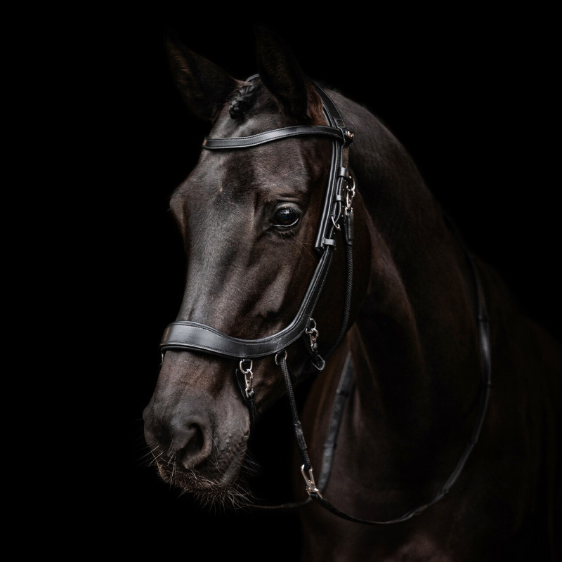 Bitless bridle FaySport - Presteq Mors and more