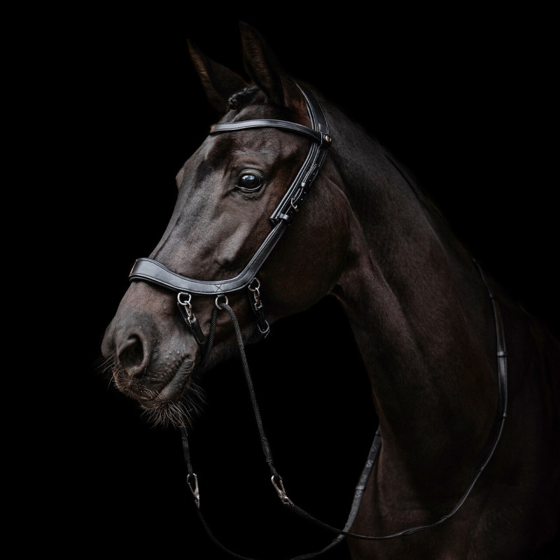 Bitless bridle FaySport - Presteq Mors and more