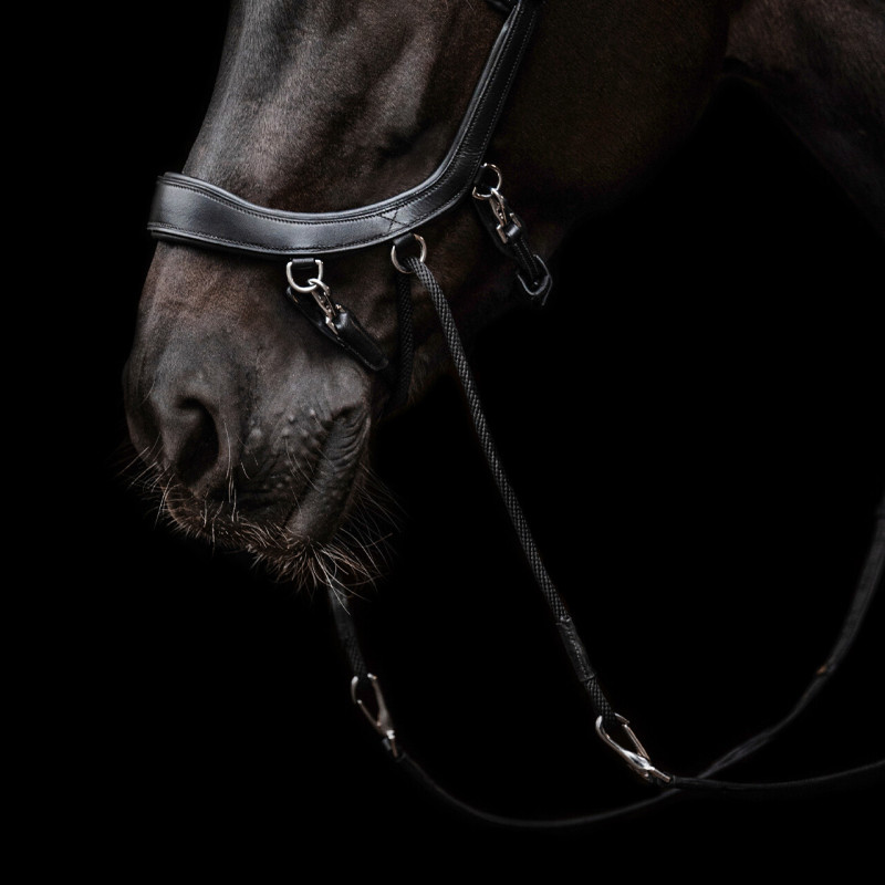 Bitless bridle FaySport - Presteq Mors and more