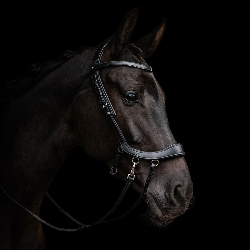 Bitless bridle FaySport - Presteq Mors and more