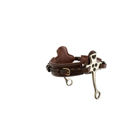Hackamore noseband leather Trust Mors and more