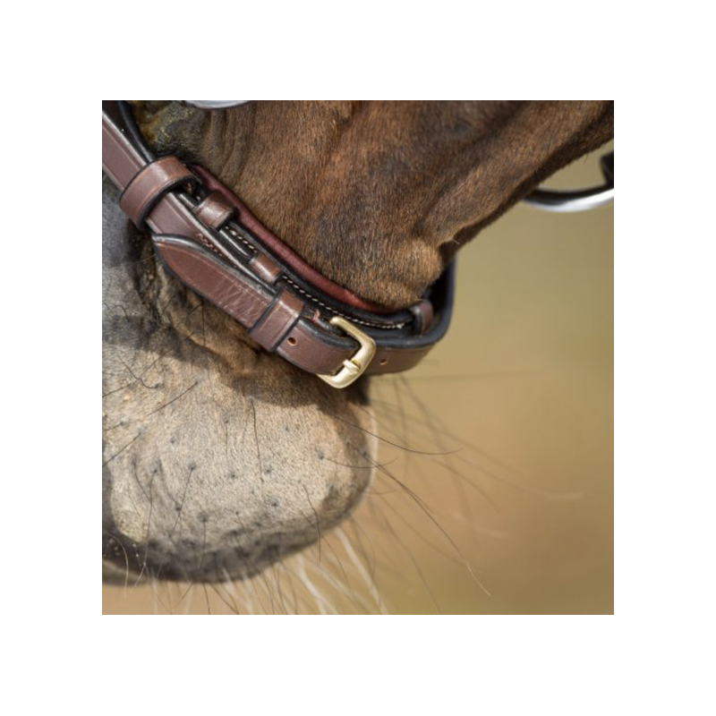 German bridle - HFI