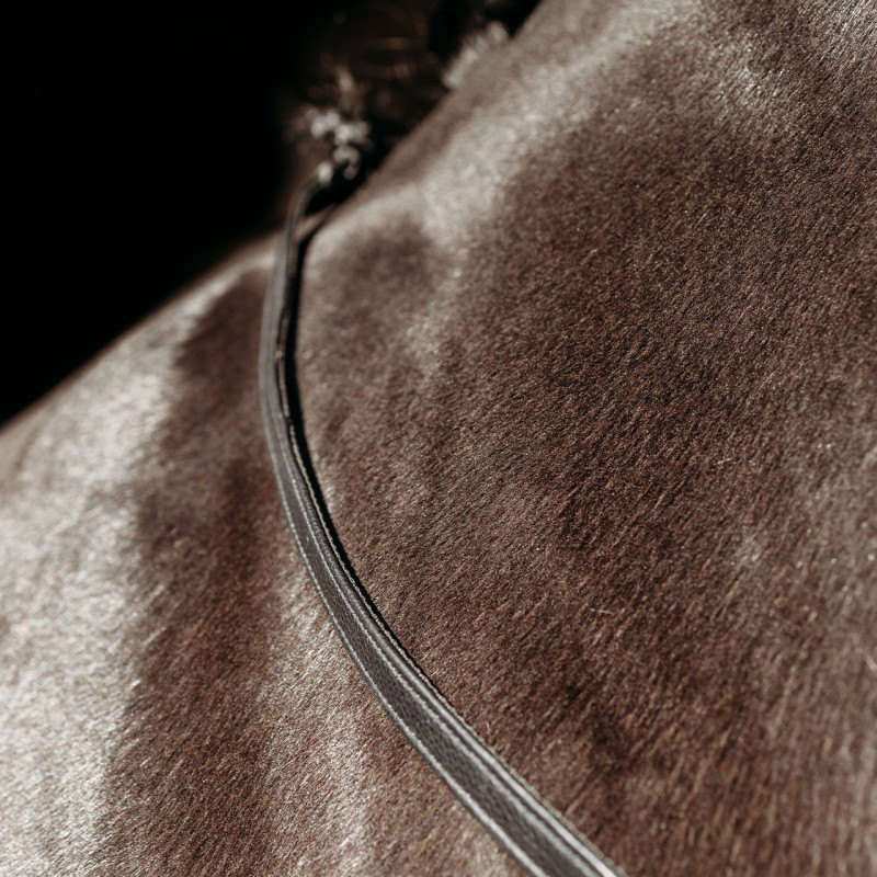 FayRein  - Presteq Mors and more