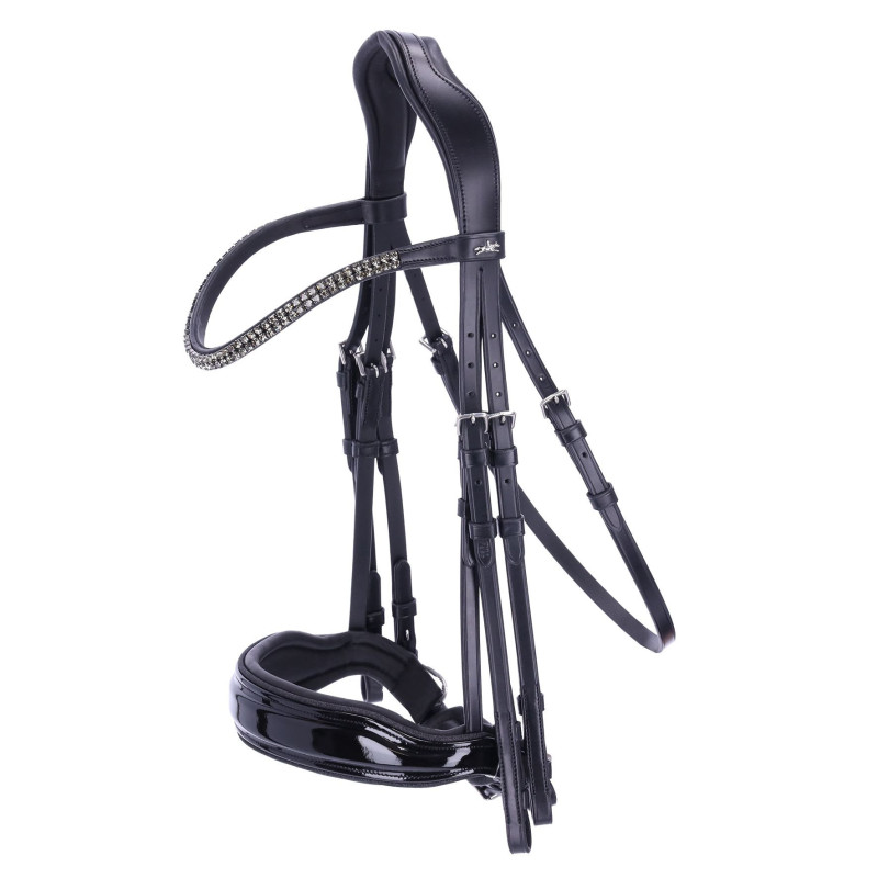 Double Bridle SP Monticelli