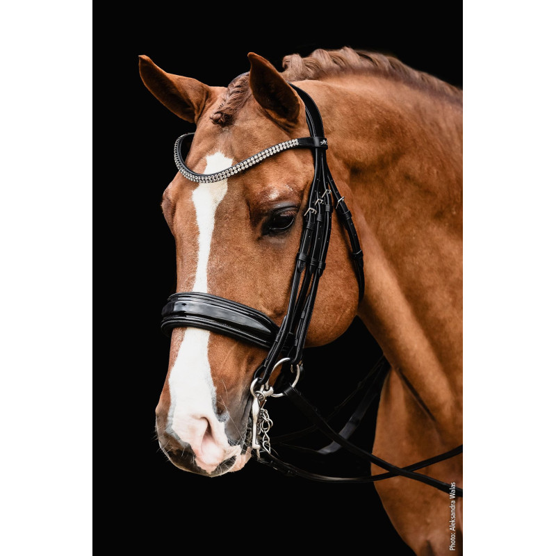 Double Bridle SP Monticelli