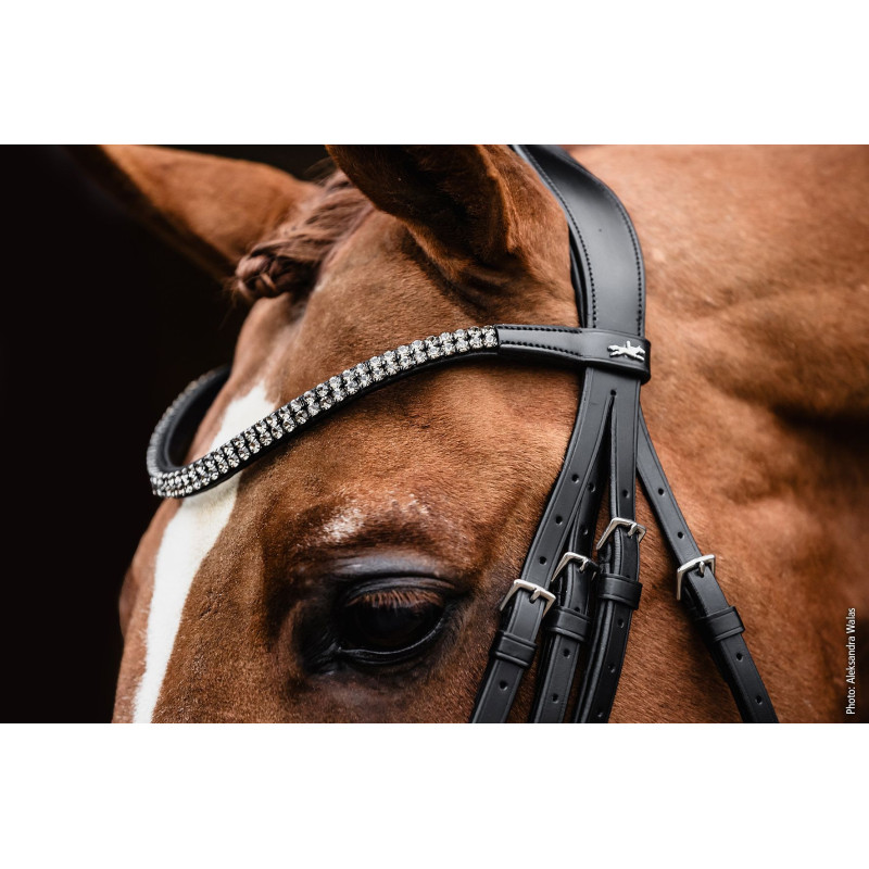 Double Bridle SP Monticelli