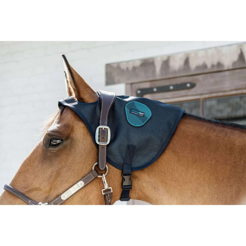 Neck Protector Magnetic Recuptex - Kentucky