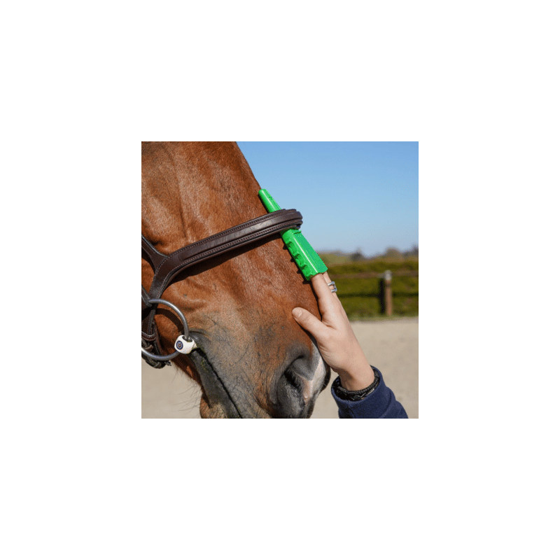 Noseband Taper Gauge