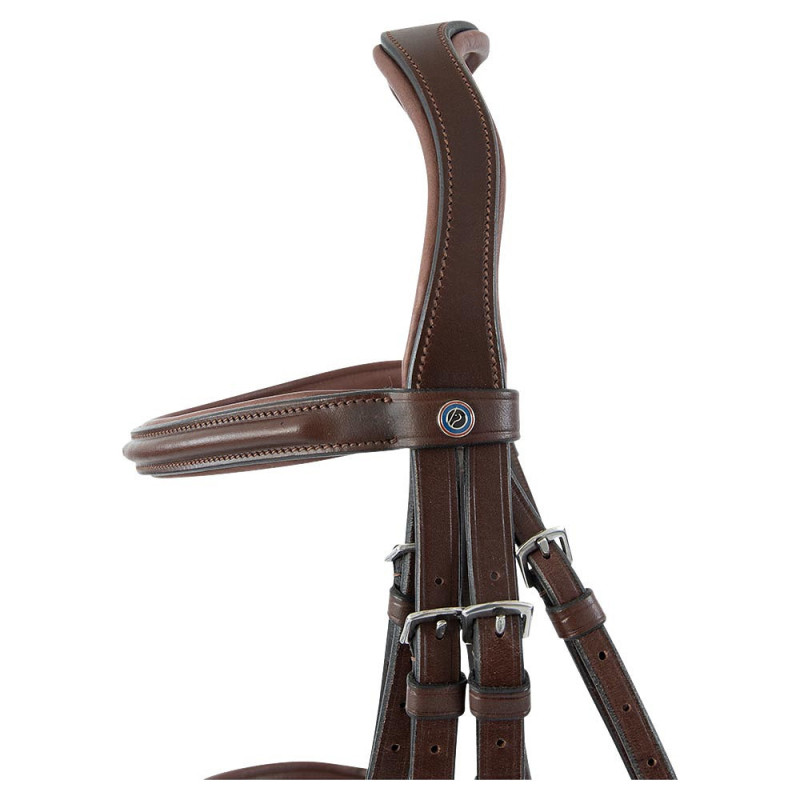 TRUST Bridle Abu Dhabi