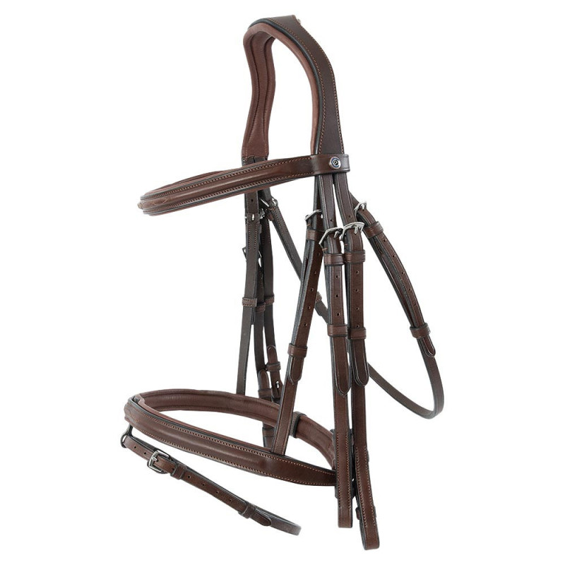 TRUST Bridle Abu Dhabi